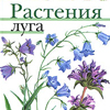 Атлас. Растения луга