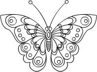 Раскраски бабочки