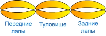 как сделать тигра из воздушных шариков